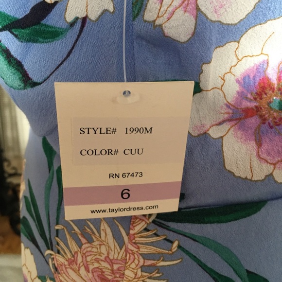 Gorgeous Jumpsuit - Picture 6 of 7